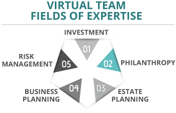 virtual team